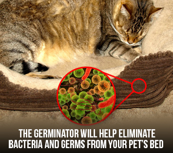 Germinator Can Help Remove Germs and Odors Off of Pet's Bed