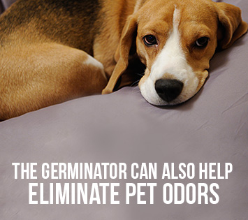 Germinator Can Help Remove Lice Off of Pet's Bed