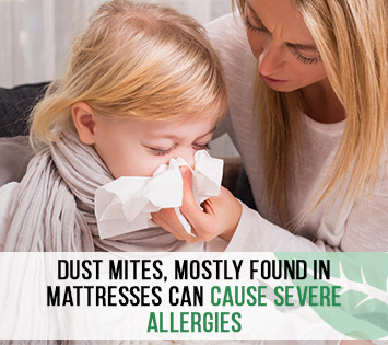 Mattress Sanitizing Helps With Allergies